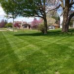 b-b-outdoor-services-westland-mi-lawn-service-mowing-lines-in-style